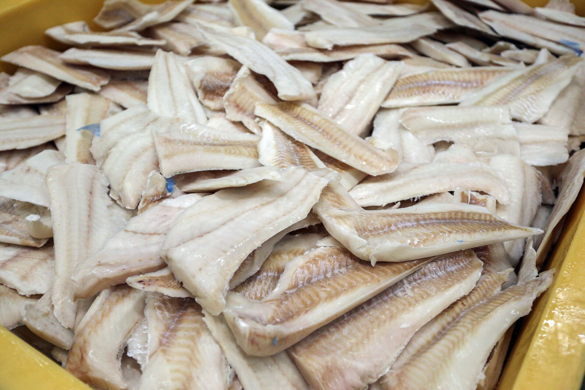 Torskefilet i en fiskeforedlingsfabrikk Torskefilet i en fiskeforedlingsfabrikk - RIA Novosti, 1920, 17.02.2021